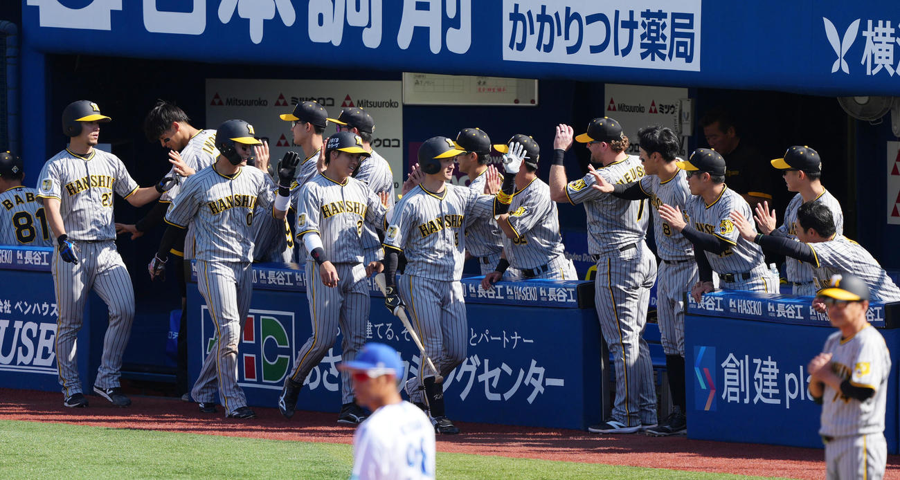 DeNA対阪神　3回表阪神2死満塁、近本が右越え満塁本塁打を放ちタッチを交わす阪神ナイン（撮影・横山健太）
