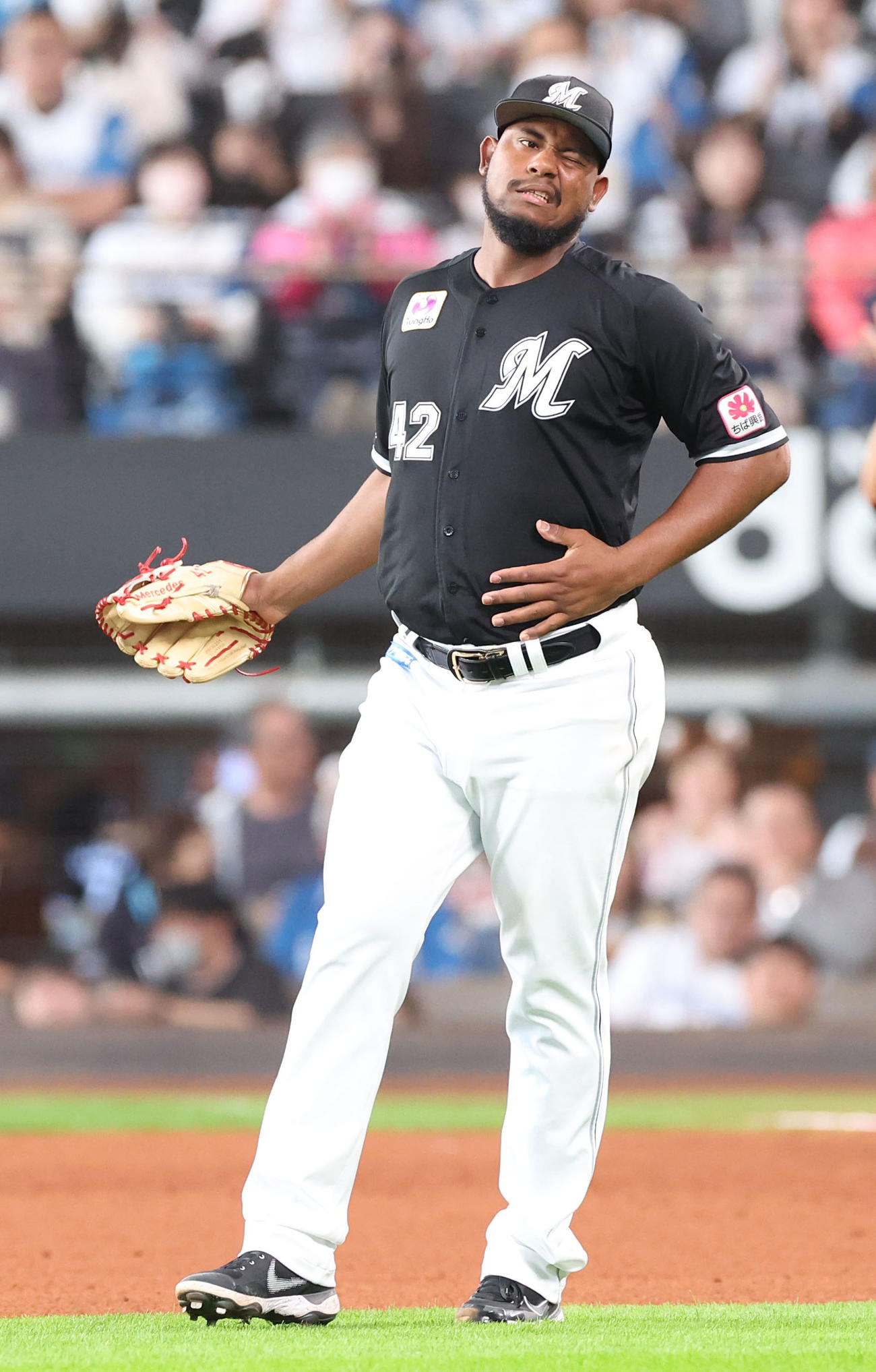 日本ハム対ロッテ　5回裏日本ハム無死、野村の打球が当たり痛がるメルセデス（撮影・佐藤翔太）