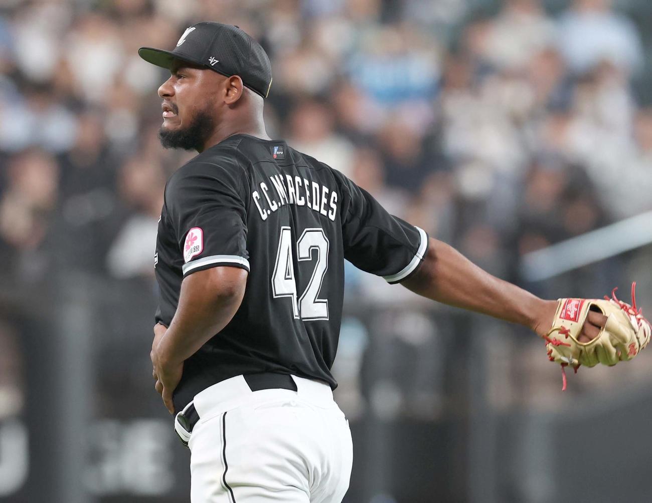 日本ハム対ロッテ　5回裏日本ハム無死、野村の打球が当たり痛がるメルセデス（撮影・黒川智章）