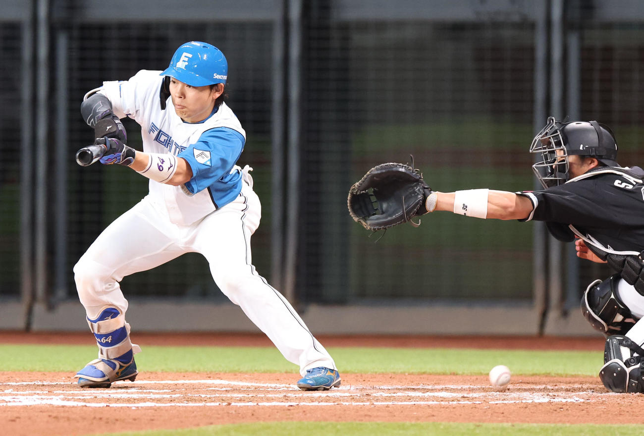 日本ハム対ロッテ　6回裏日本ハム1死一、三塁、スクイズを失敗する田宮（撮影・佐藤翔太）