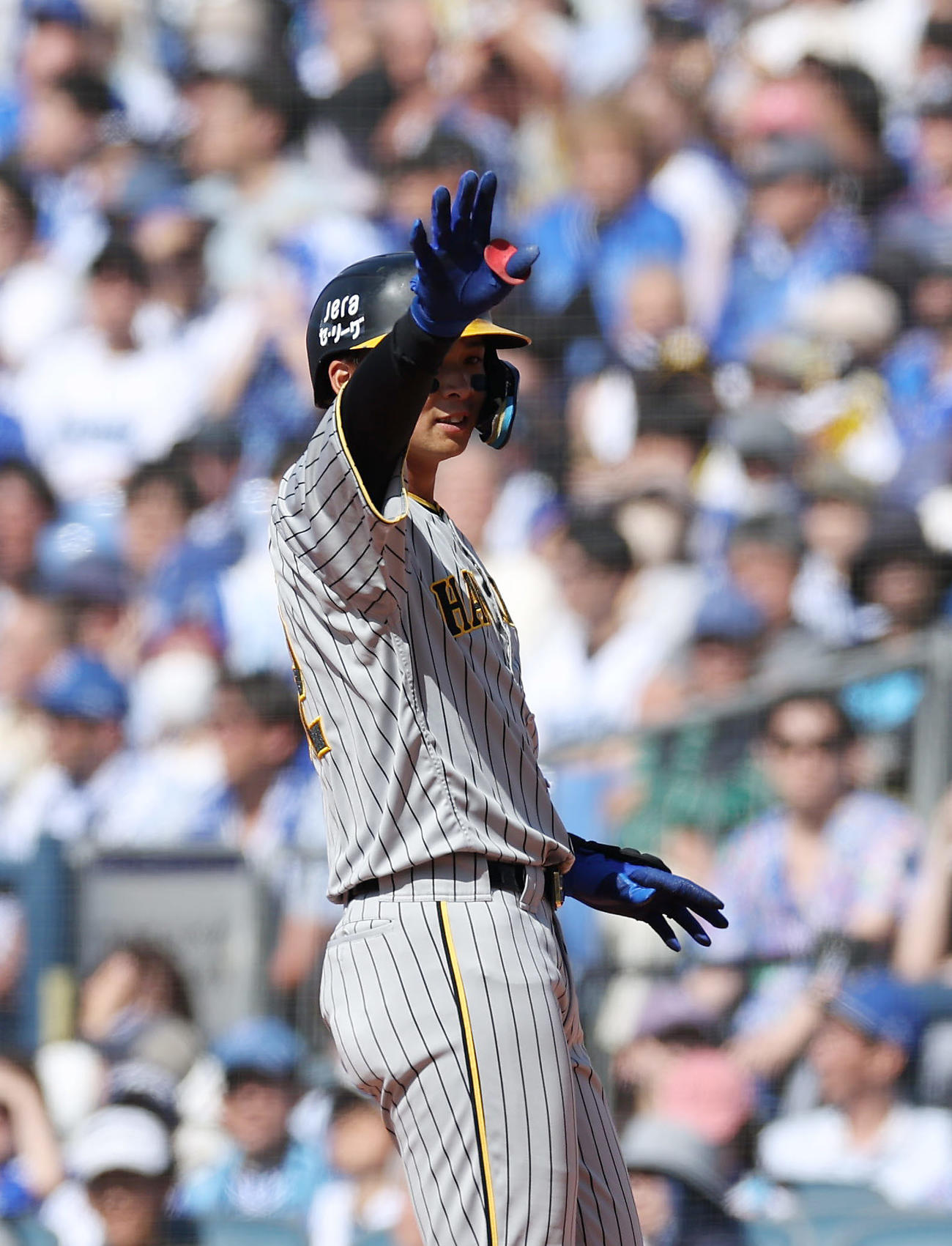 DeNA対阪神　3回表阪神無死一、三塁、中前適時打を放ちベンチに向かって手を上げる井上（撮影・前田充）