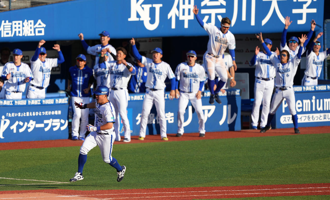 DeNA対阪神　8回裏DeNA2死、右越え本塁打を放ちタッチを交わす筒香（手前）（撮影・横山健太）