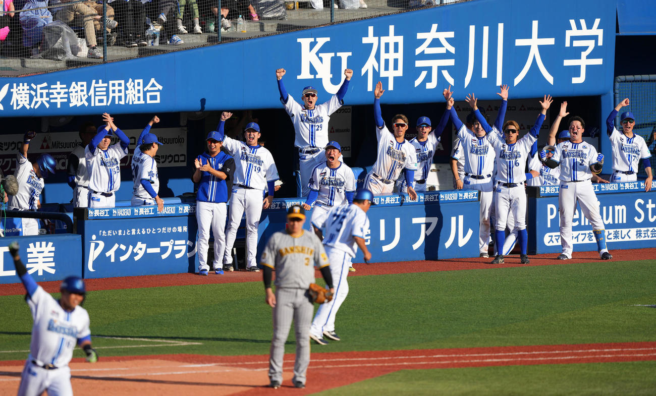 DeNA対阪神　8回裏DeNA1死一塁、蝦名が中越え2点本塁打を放ち歓喜するDeNAナイン（撮影・横山健太）