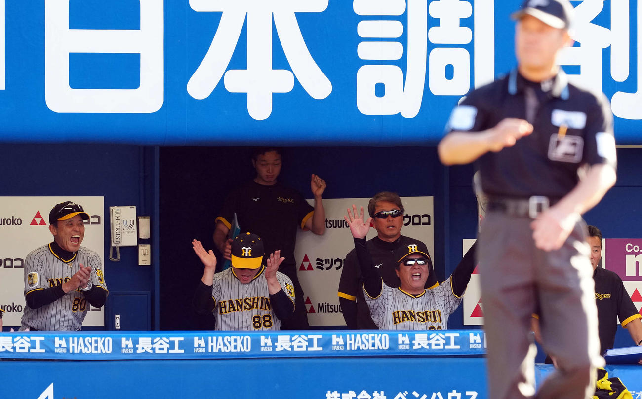 DeNA対阪神　7回裏、DeNAのリブレー検証が通らずベンチで笑顔を見せる阪神岡田監督（左端）（撮影・たえ見朱実）