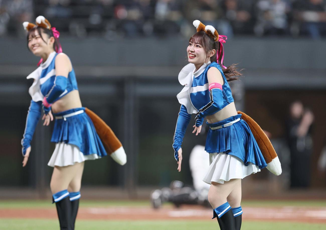 日本ハム対ロッテ　ピンクのリボンをつけて「きつねダンス」を踊るファイターズガール（撮影・黒川智章）