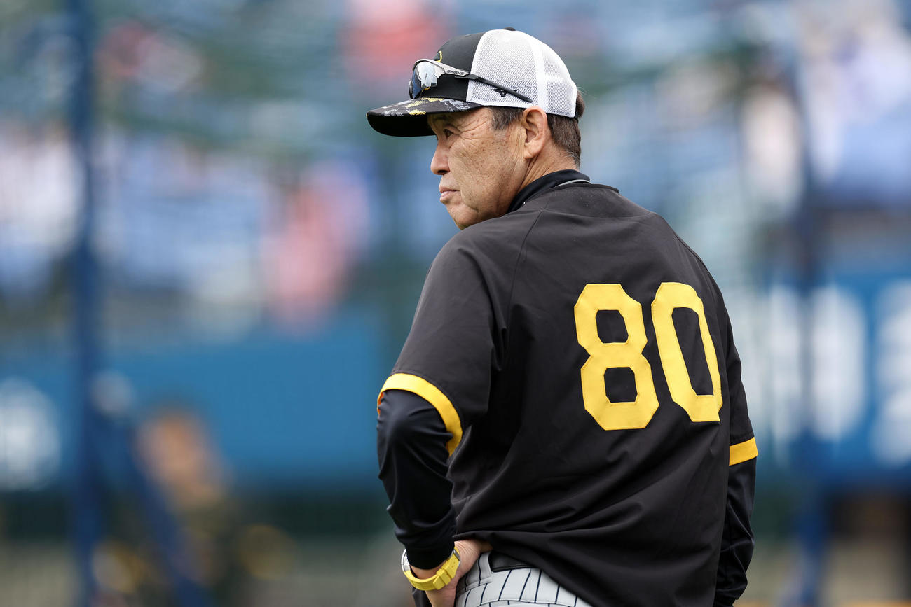 DeNA対阪神　試合前練習を見守る阪神岡田監督（撮影・前田充）