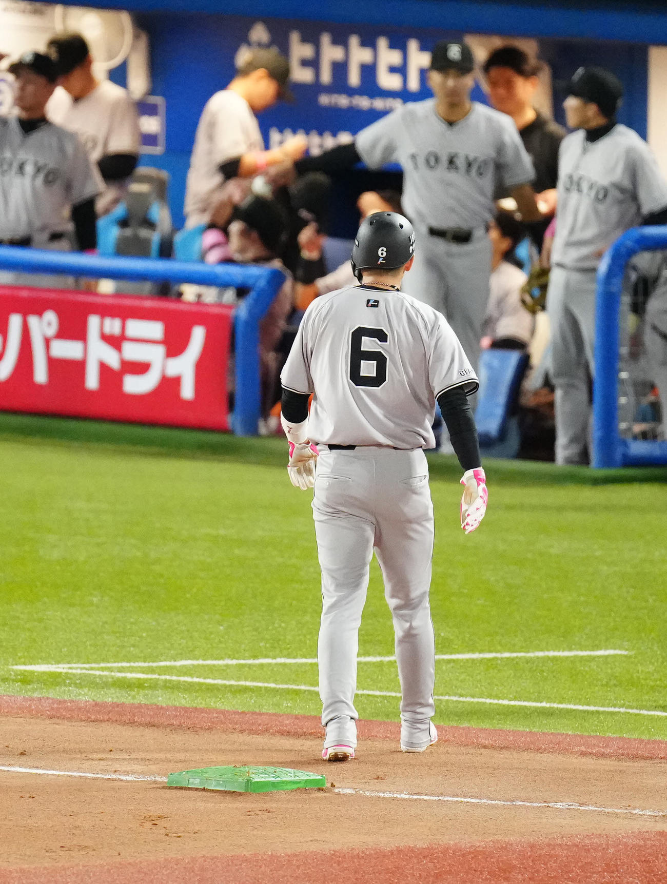 ヤクルト対巨人　6回表終了後、ベンチに引き揚げる巨人坂本（撮影・江口和貴）