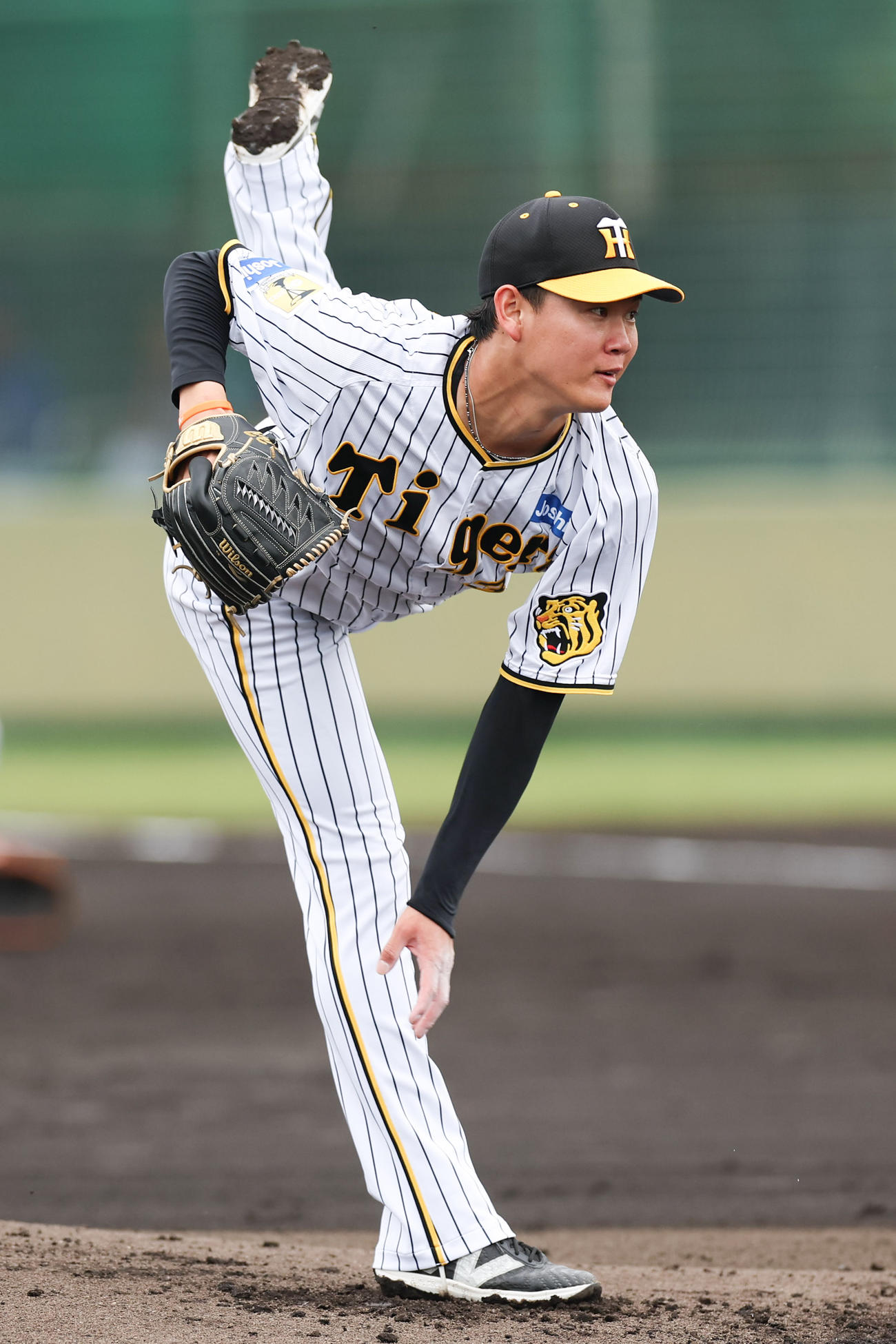 阪神及川雅貴（2024年4月23日撮影）