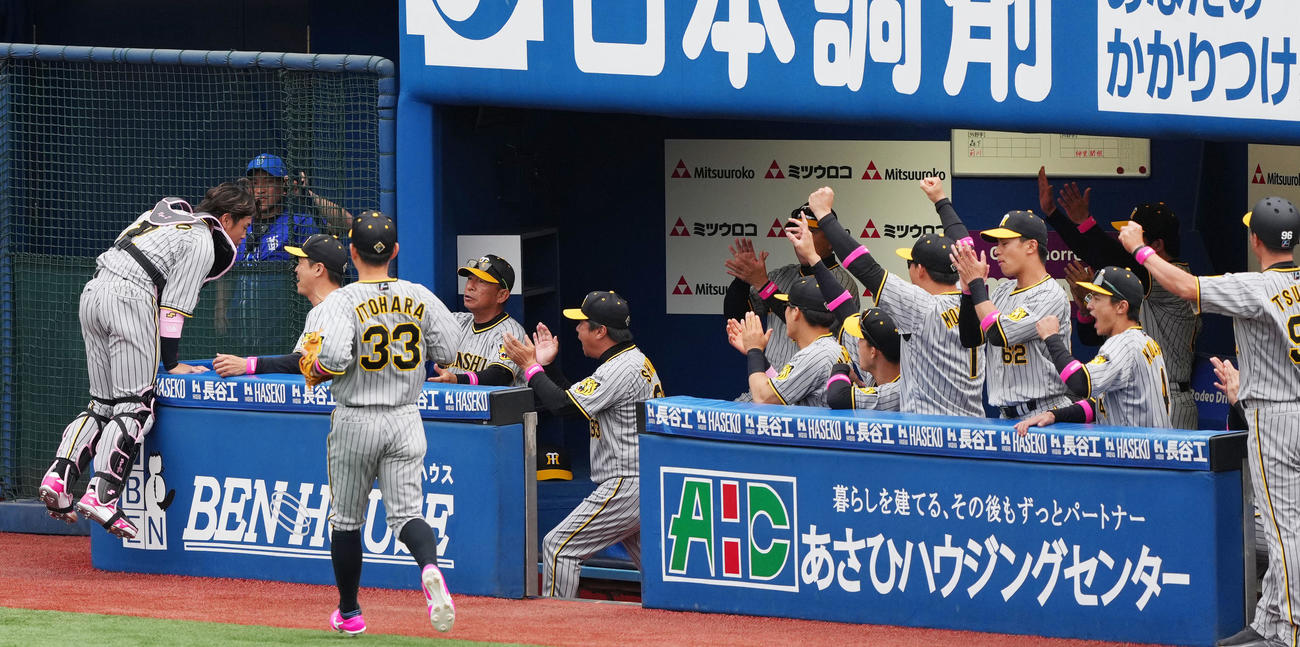 DeNA対阪神　9回裏DeNA1死、佐野の捕邪飛を好捕する梅野（左）（撮影・横山健太）