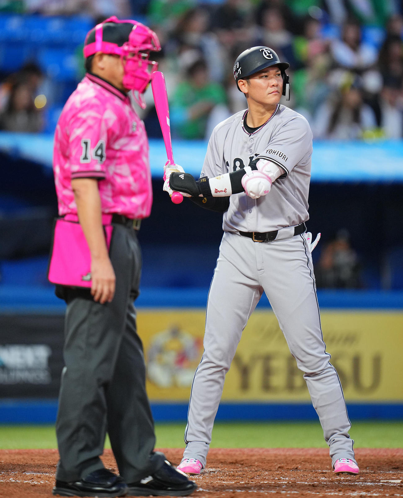 ヤクルト対巨人　2回表巨人無死、母の日仕様の用具を身につけ打席に立つ坂本（撮影・垰建太）