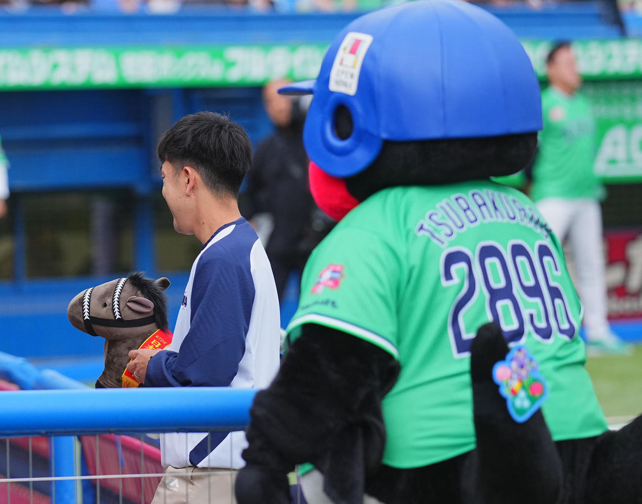ヤクルト対巨人　試合前、ヤクルトベンチに運び込まれるウマのぬいぐるみ（撮影・垰建太）