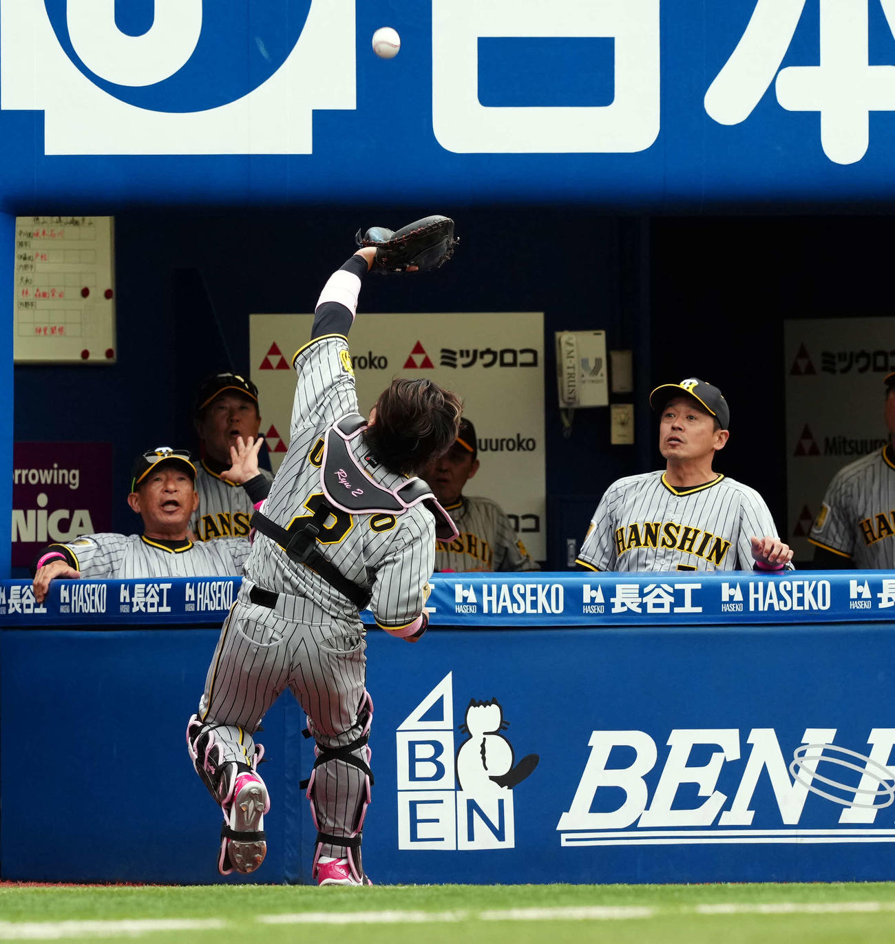 DeNA対阪神　9回裏DeNA1死、佐野恵太の飛球を捕球する梅野（撮影・たえ見朱実）