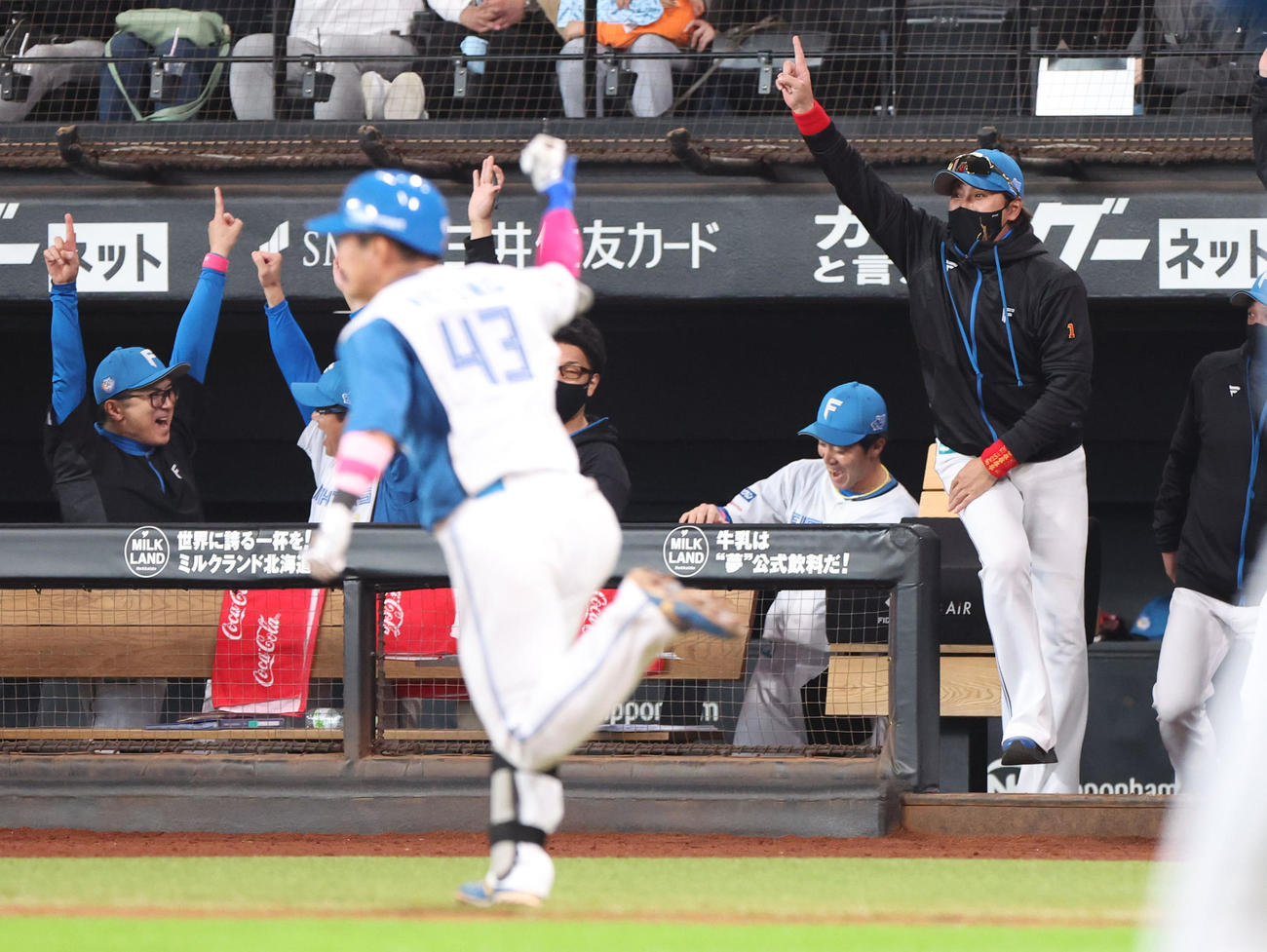 日本ハム対ロッテ　9回裏日本ハム1死満塁、水野（手前）のサヨナラ打に喜ぶ新庄監督（右）（2024年5月12日撮影）