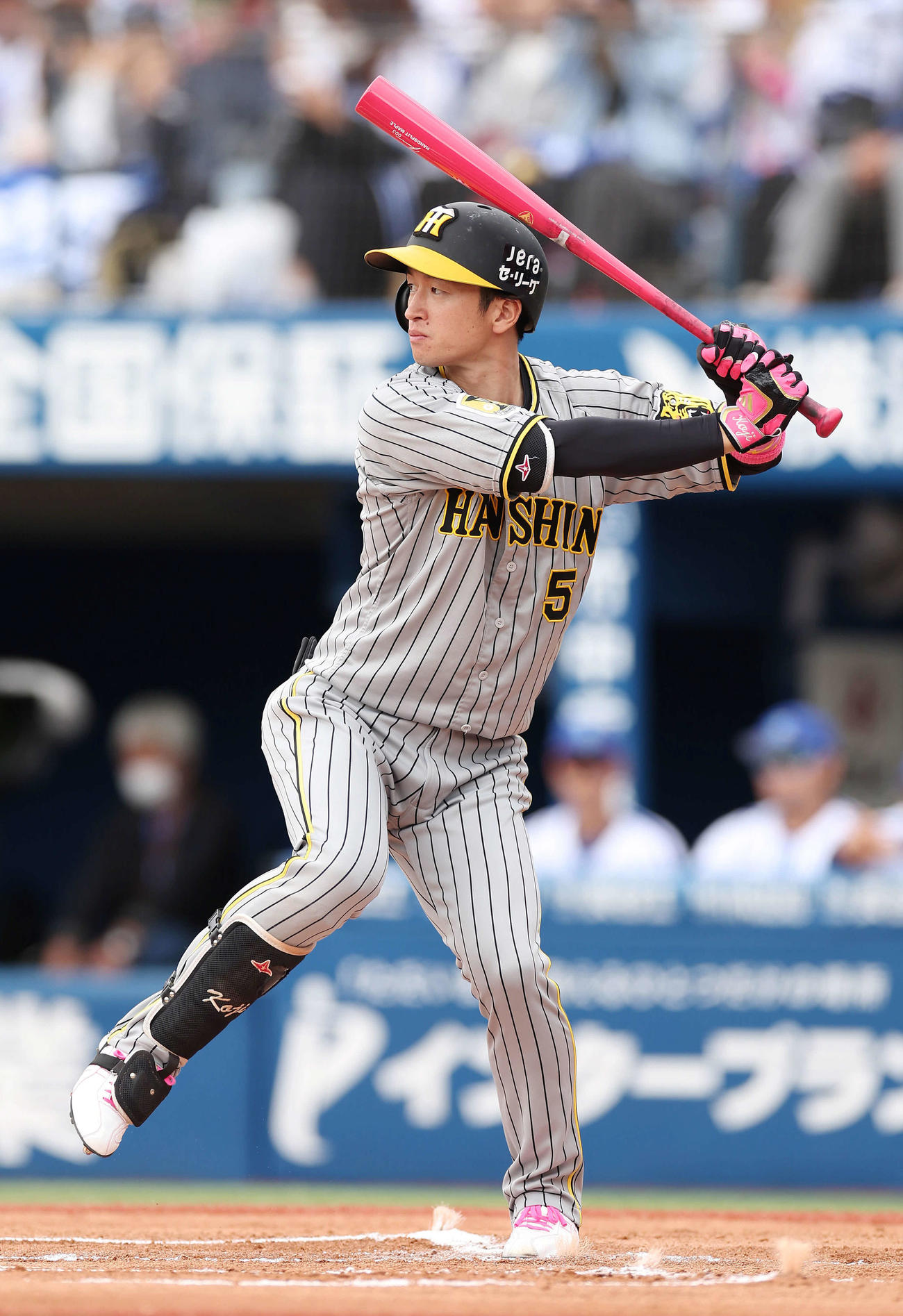 阪神近本光司（2024年5月12日撮影）