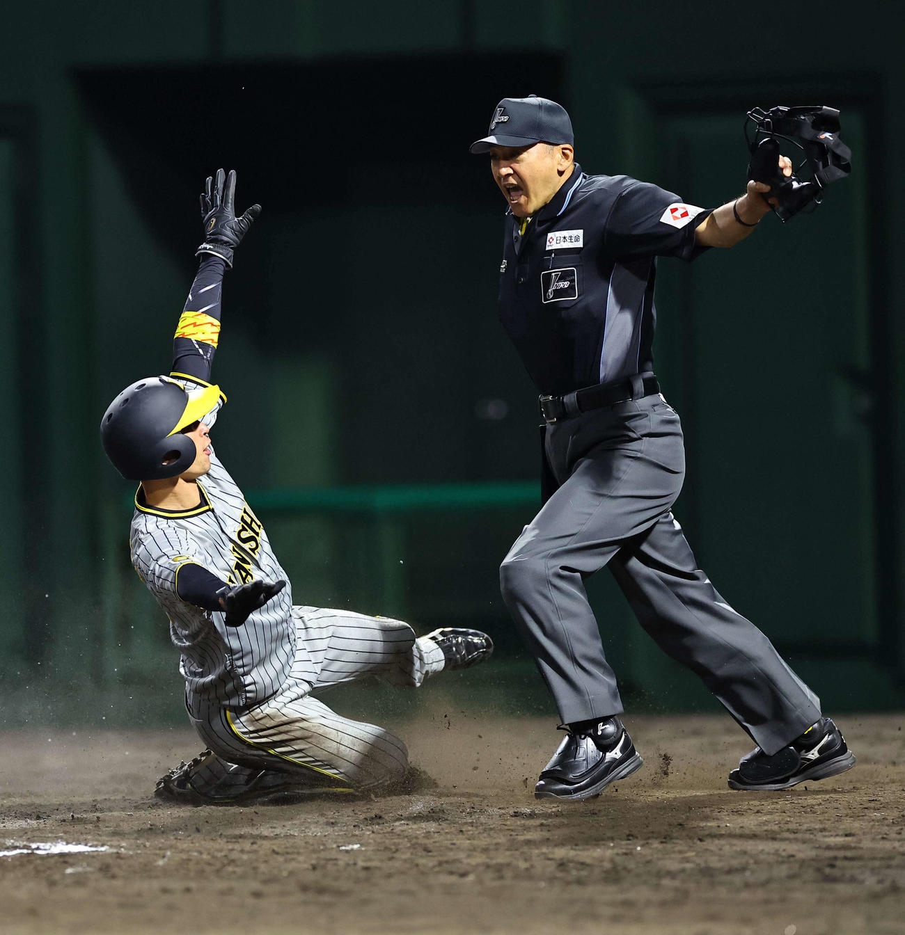 阪神対中日　6回表阪神1死二、三塁、近本は中田の野選で生還する。捕手は加藤匠（撮影・上田博志）