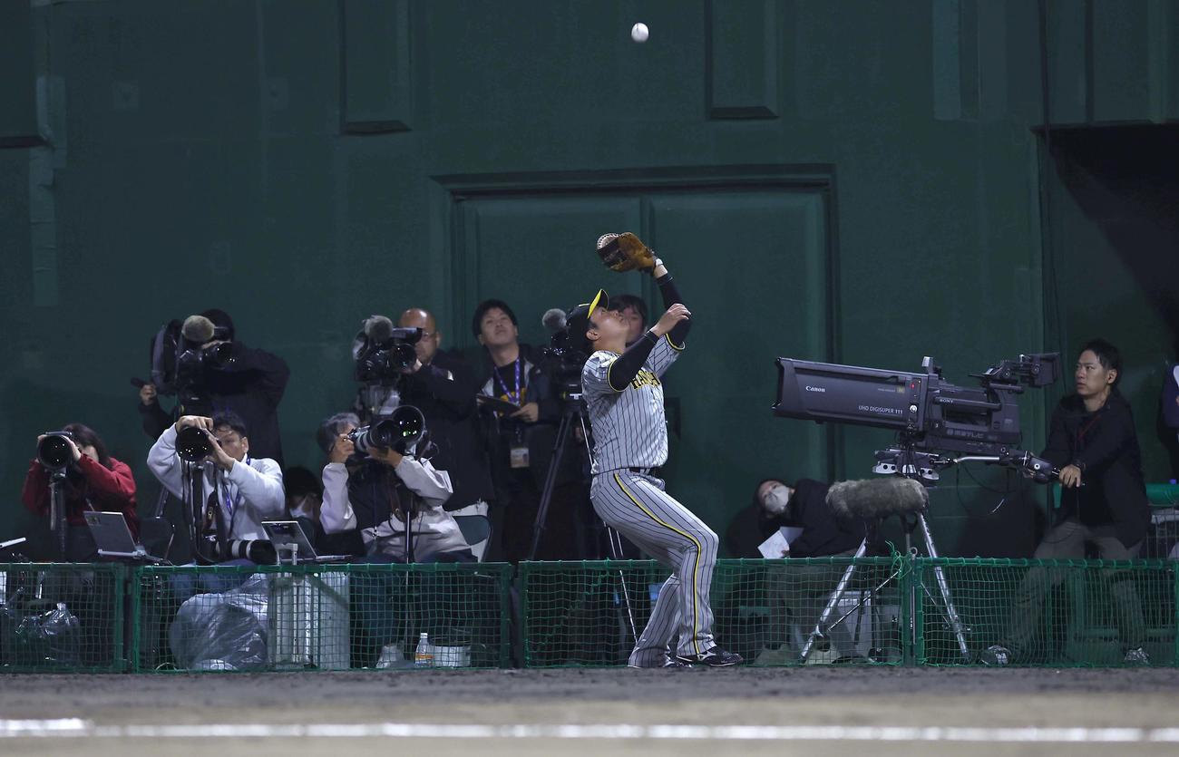 阪神対中日　6回裏中日1死、大山は中田の一邪飛を捕球する（撮影・上田博志）