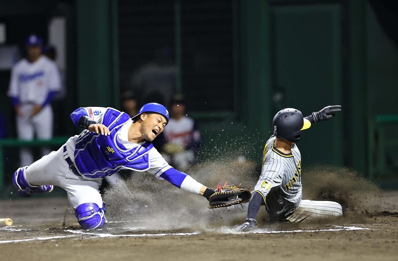 阪神対中日　6回表阪神1死二、三塁、近本は中田の野選で生還する。捕手は加藤匠（撮影・上田博志）