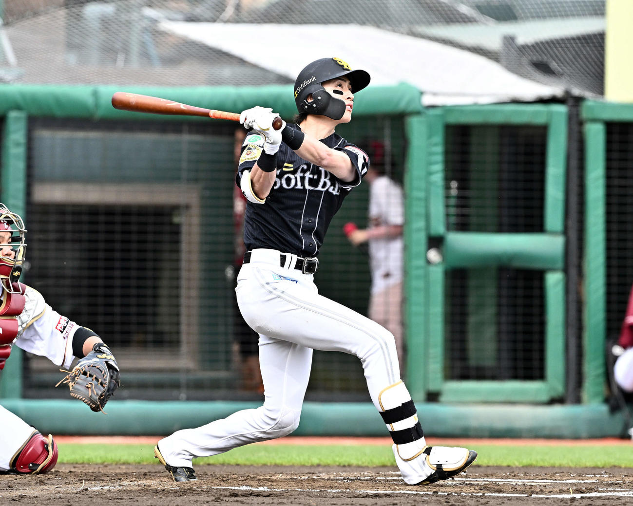 楽天対ソフトバンク　6回表ソフトバンク2死一塁、周東は右越え2点本塁打を放つ（撮影・滝沢徹郎）