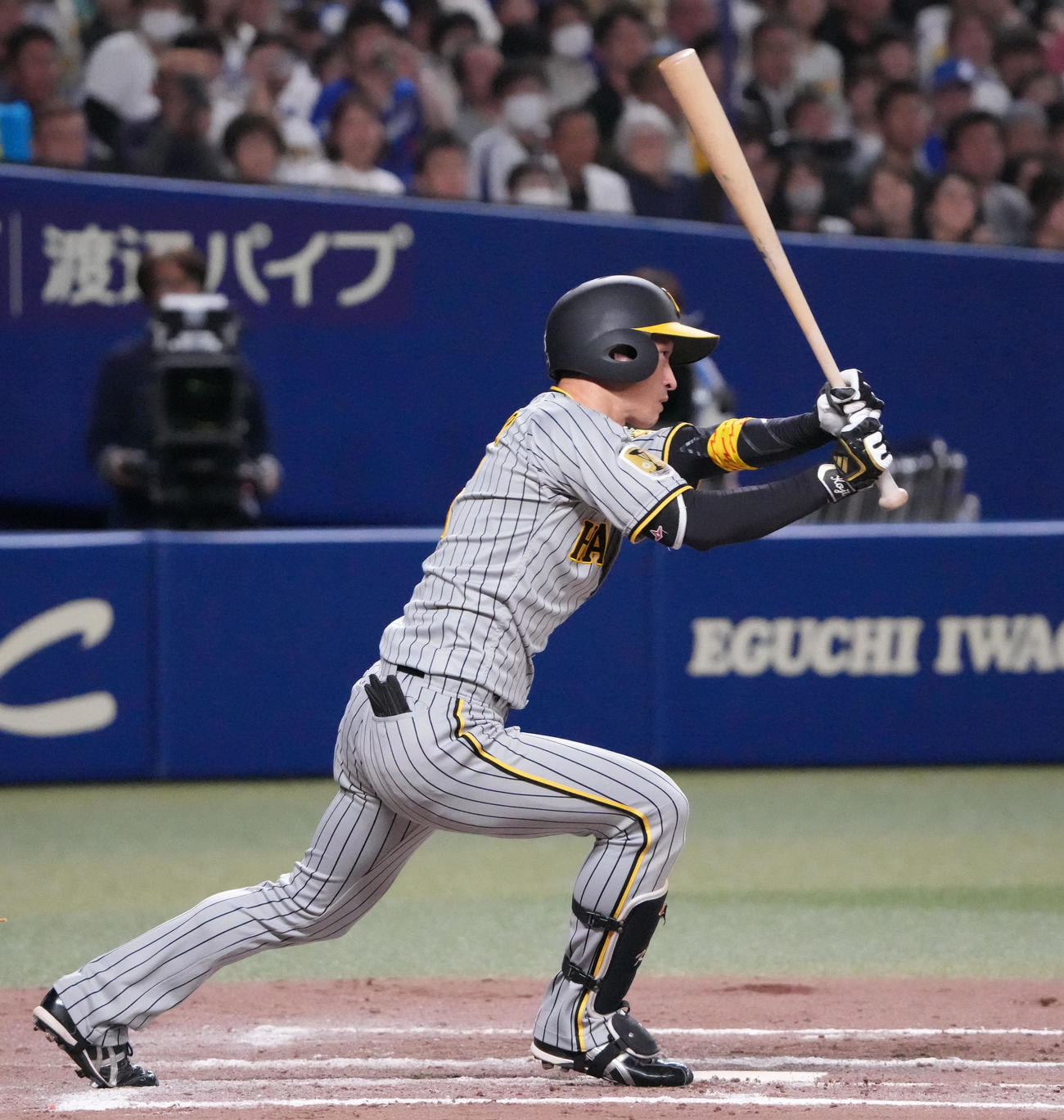 中日対阪神　11回表阪神1死三塁、右前適時打を放つ近本（撮影・森本幸一）