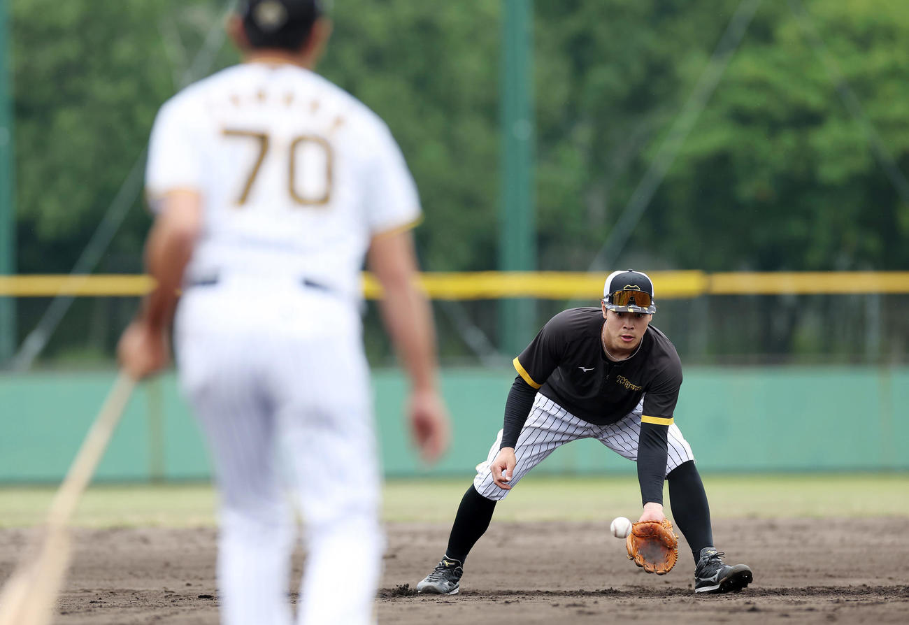 2軍に降格し、ノックを受ける阪神佐藤輝。手前は田中コーチ（撮影・前田充）