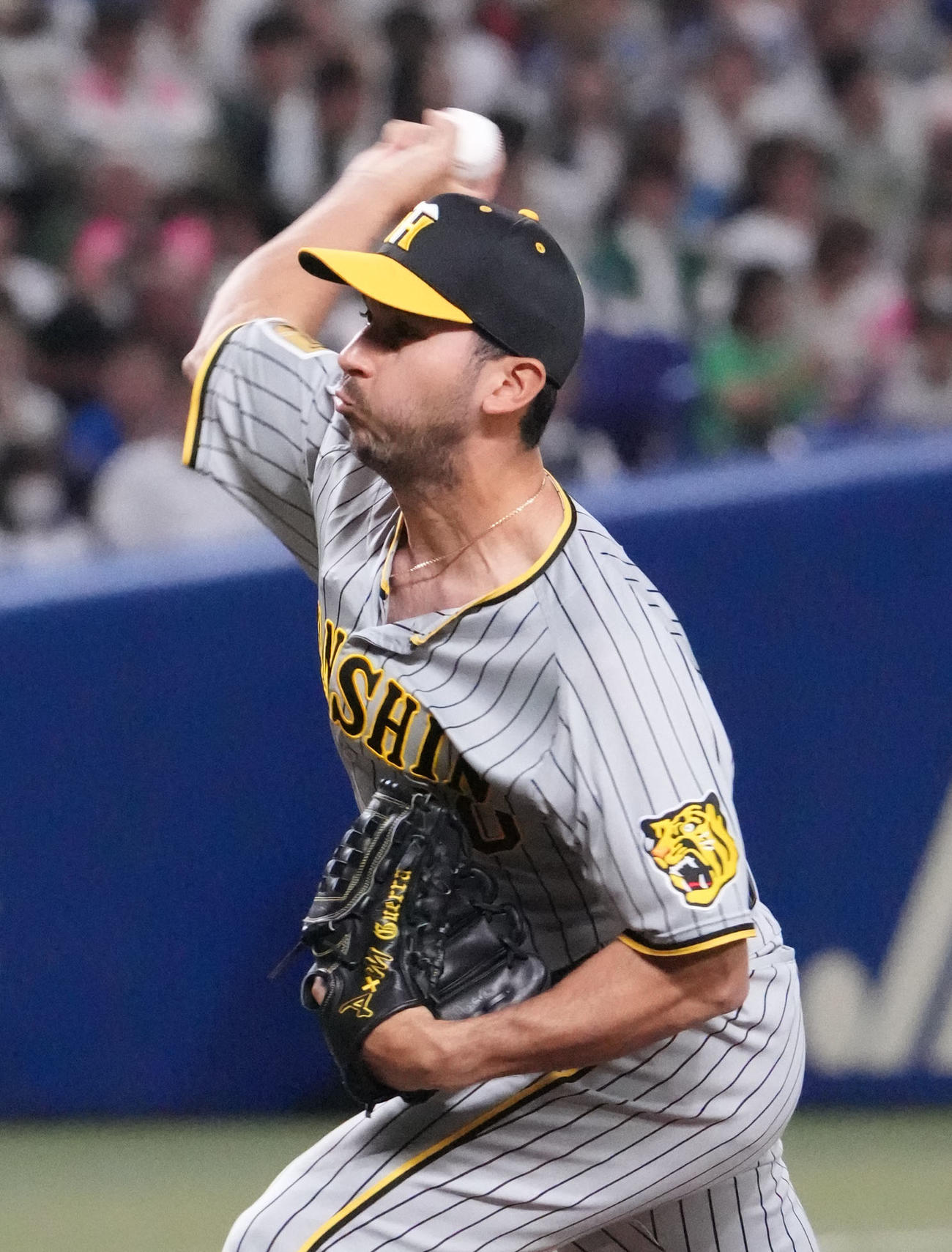 中日対阪神　8回裏、阪神2番手で登板するゲラ（撮影・森本幸一）