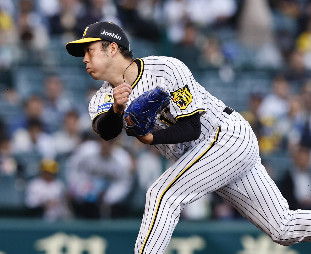 阪神青柳晃洋（2024年4月26日撮影）