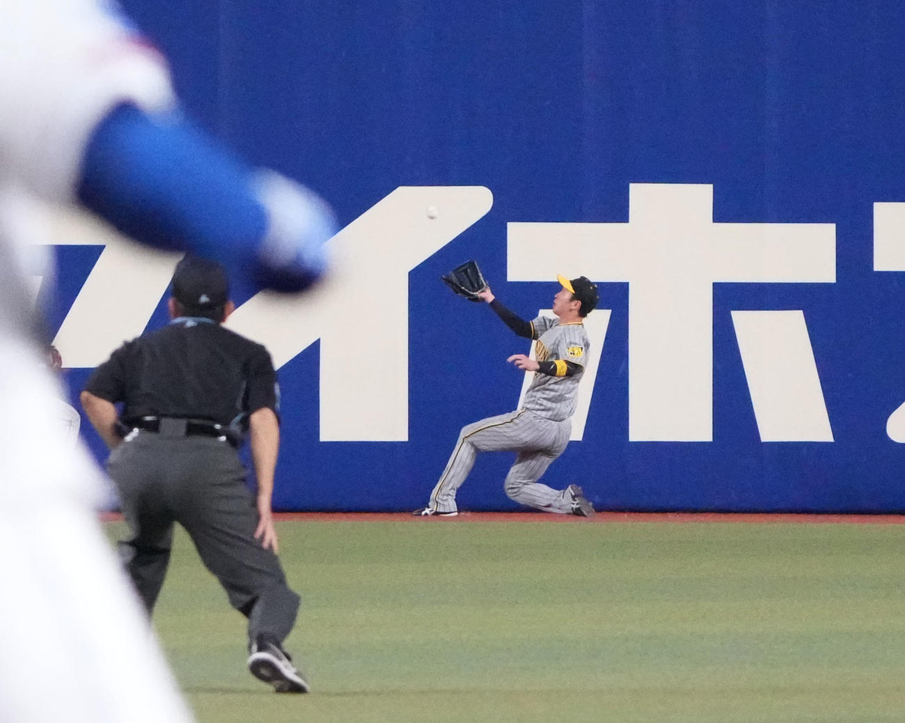 中日対阪神　8回裏中日2死、ビシエドの打球を好捕する近本（撮影・森本幸一）