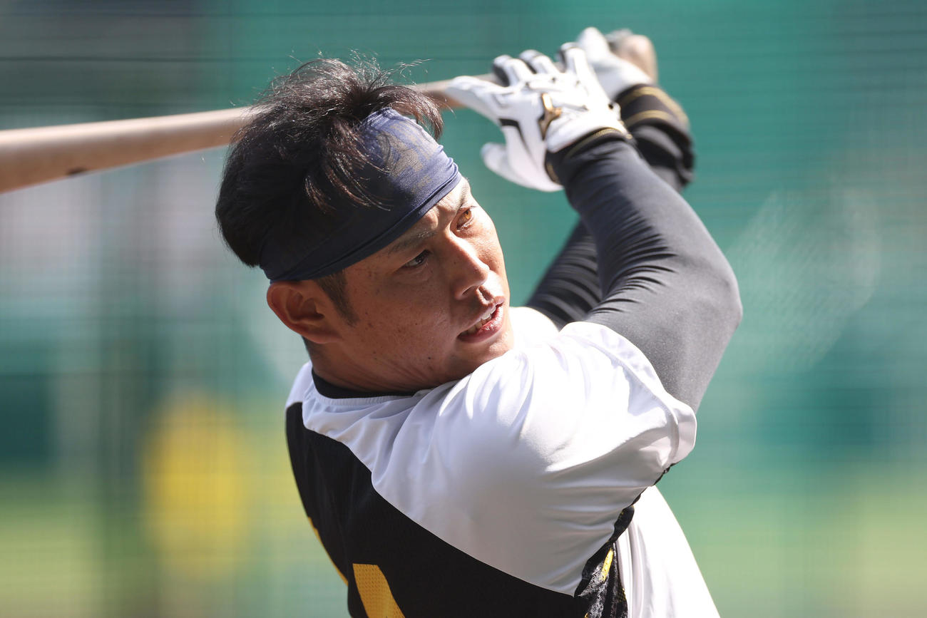 阪神対ヤクルト　打撃練習を行う阪神原口（撮影・前田充）