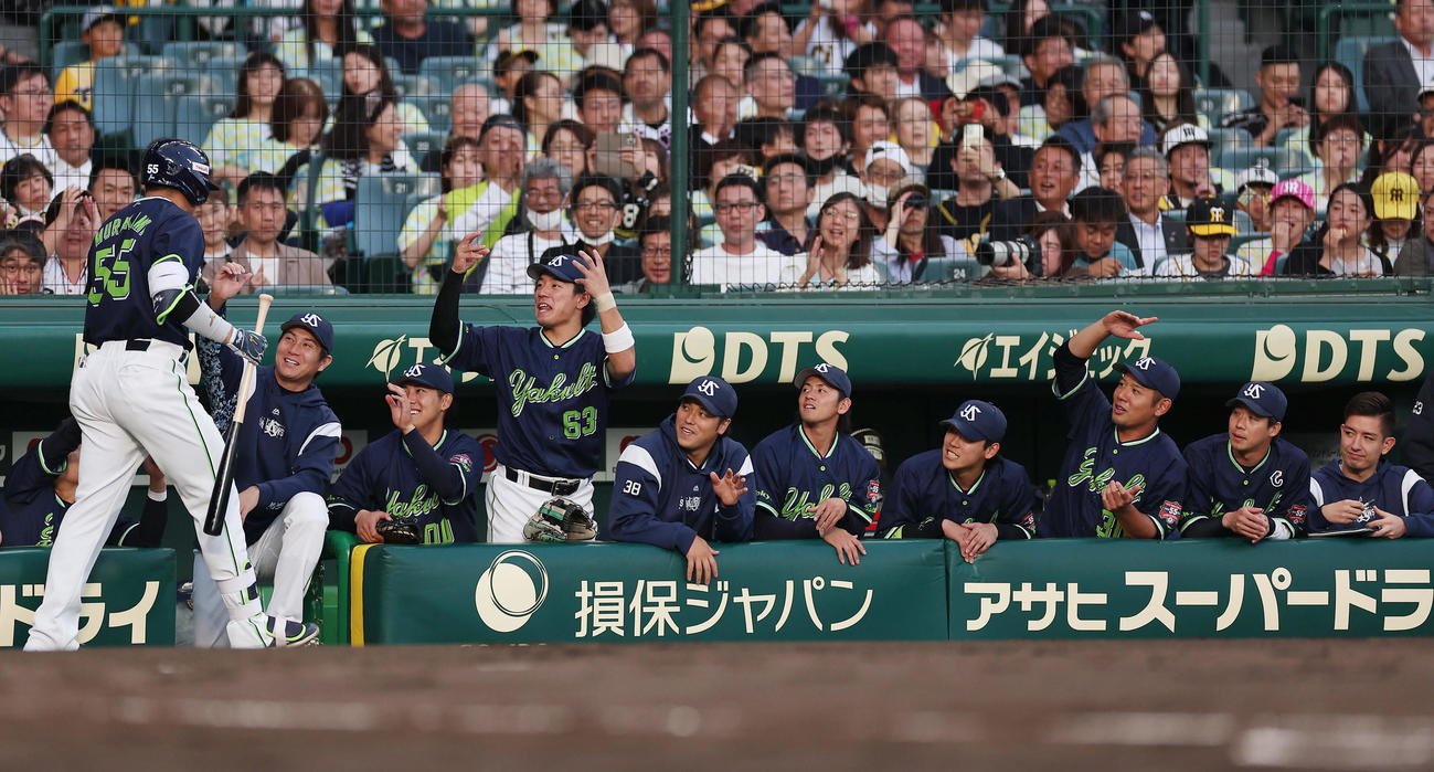阪神対ヤクルト　3回表ヤクルト2死一、二塁、3点本塁打を放った村上（左）を迎えるヤクルトナイン（撮影・前田充）