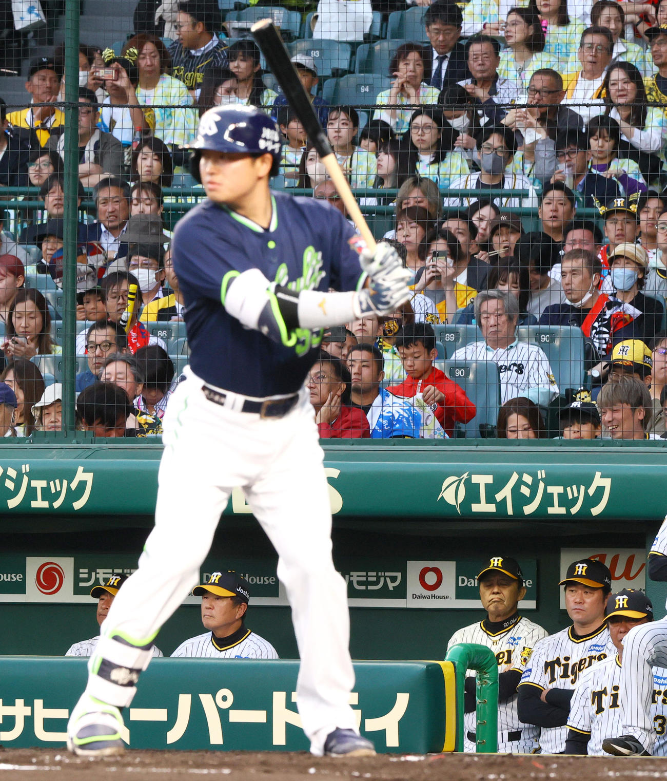 阪神対ヤクルト　3回表ヤクルト2死一、二塁、岡田監督（右から3人目）は村上の打席を見つめる（撮影・上山淳一）