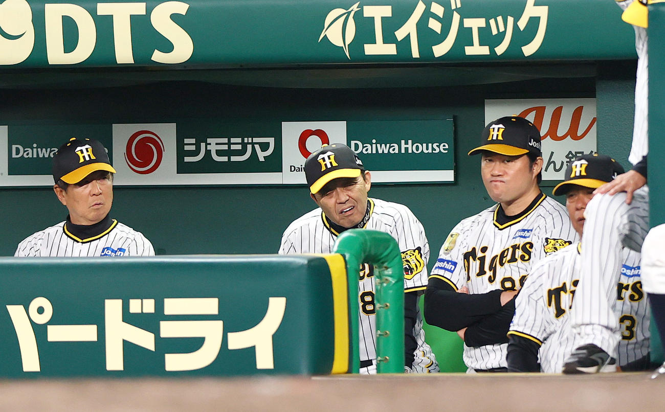 阪神対ヤクルト　5回表ヤクルト無死、岡田監督（左から2人目）は打席の丸山和に死球を当ててしまった青柳に思わず顔をゆがめる（撮影・上山淳一）