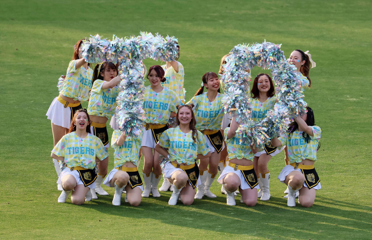 阪神対ヤクルト　TORACOバージョンでダンスを披露するタイガースガールズ（撮影・加藤哉）