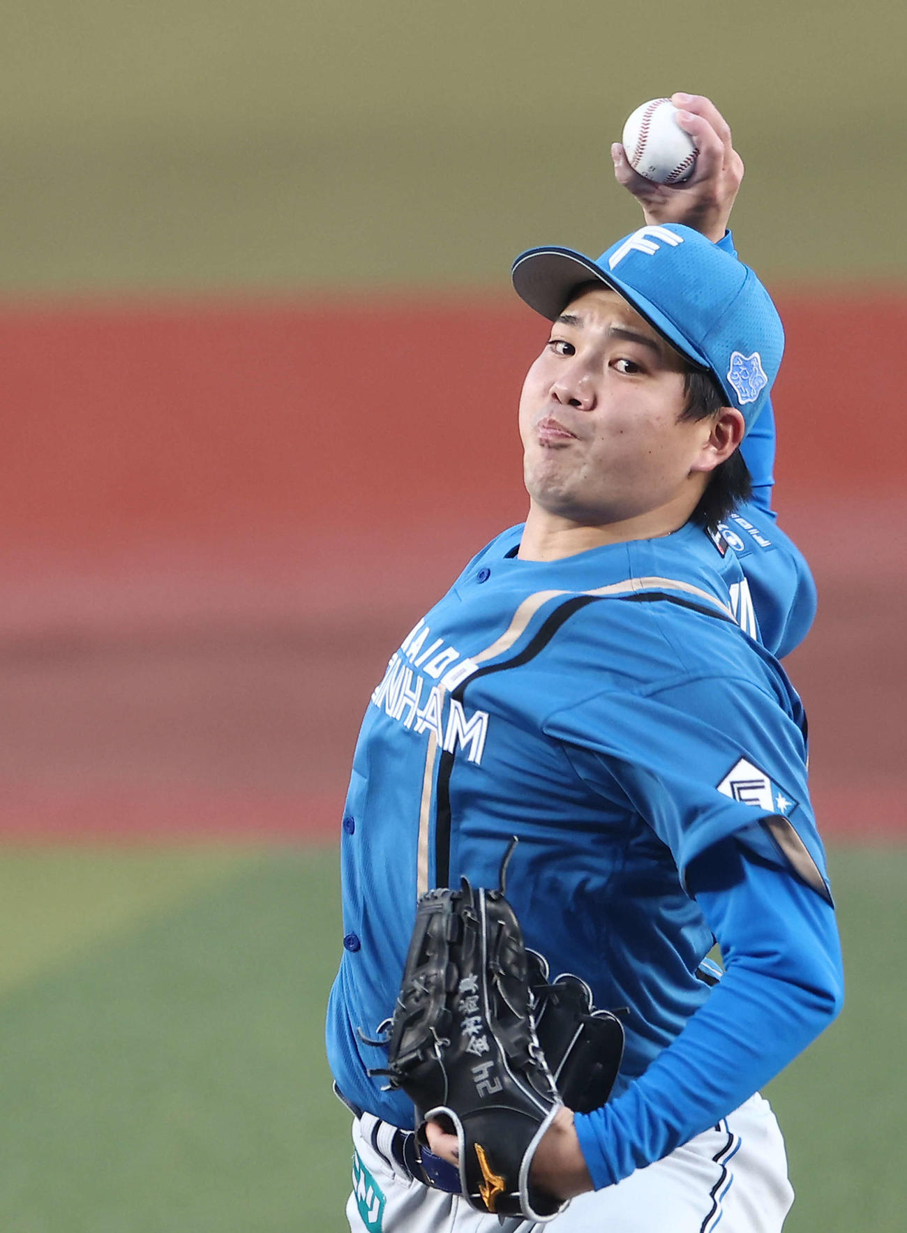 ロッテ対日本ハム　力投する日本ハム先発の金村（撮影・河田真司）