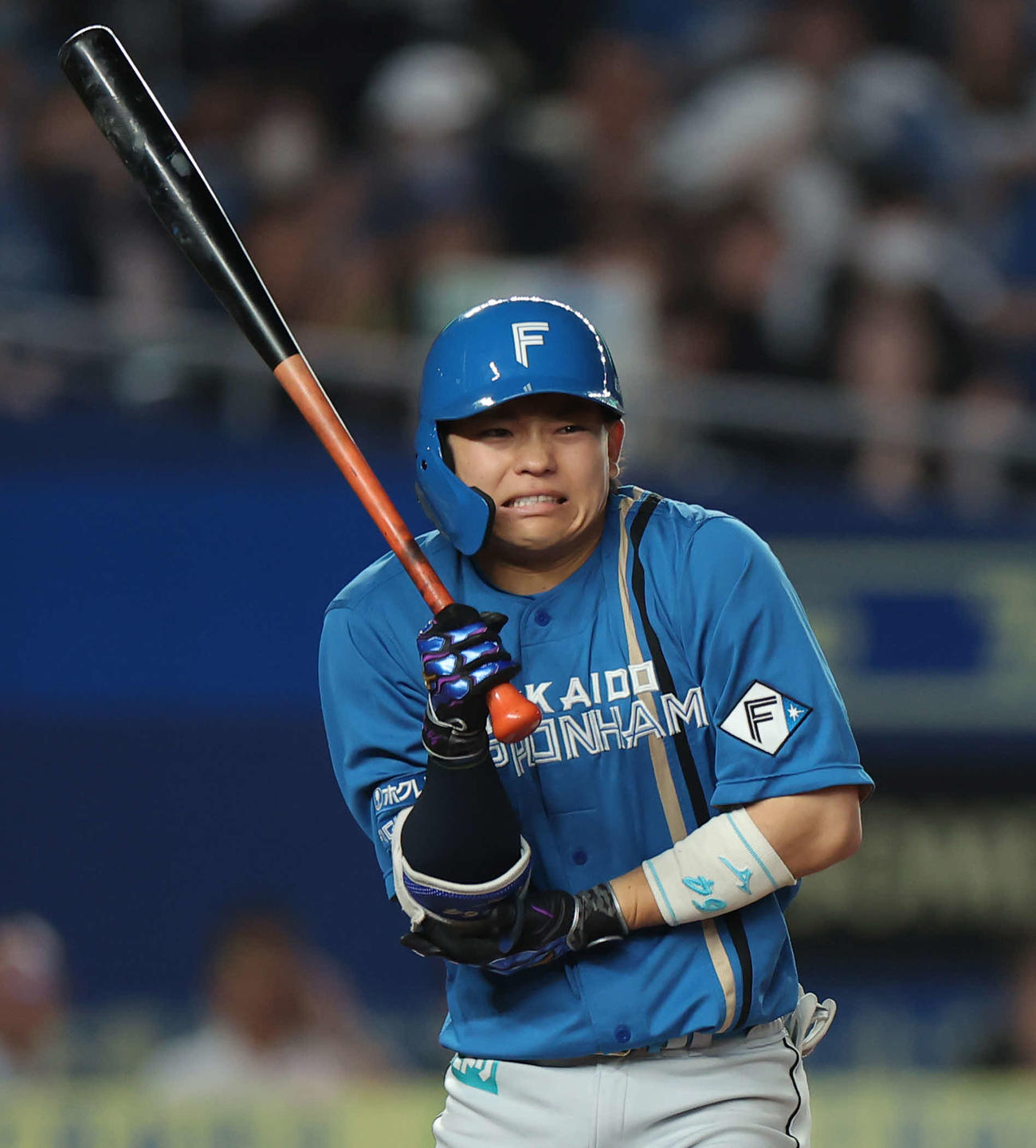 ロッテ対日本ハム　7回表日本ハム2死二塁、死球を受ける田宮（撮影・河田真司）