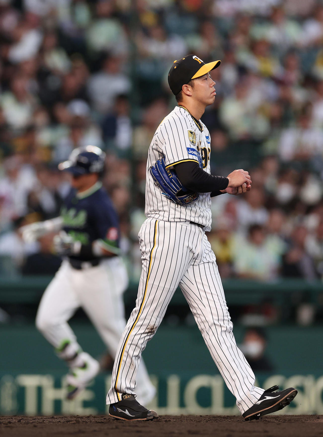 阪神対ヤクルト　3回表ヤクルト2死一、二塁、村上に3点本塁打を浴びた青柳（撮影・前田充）