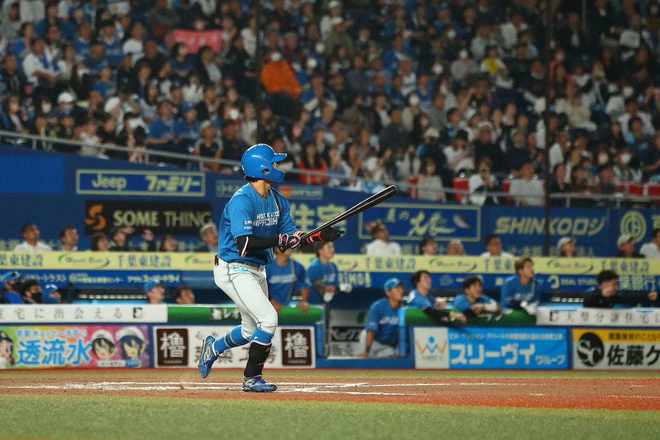 ロッテ対日本ハム　7回表日本ハム無死二、三塁、左犠飛を放つ細川（撮影・河田真司）