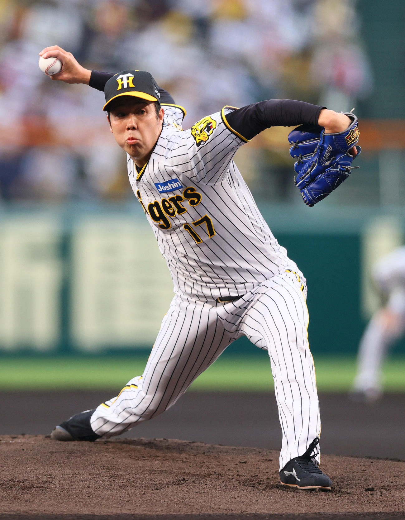 阪神青柳晃洋（2024年4月26日撮影）
