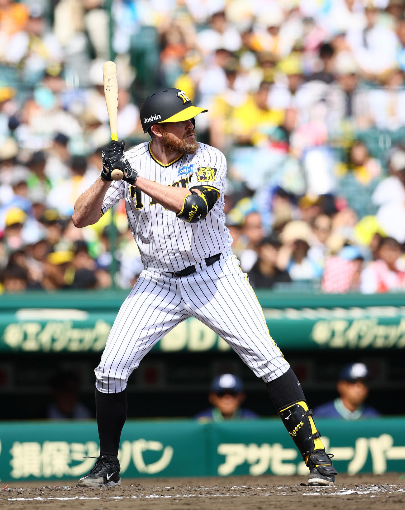 阪神対ヤクルト　3回裏阪神1死、打席に立つビーズリー（撮影・上山淳一）
