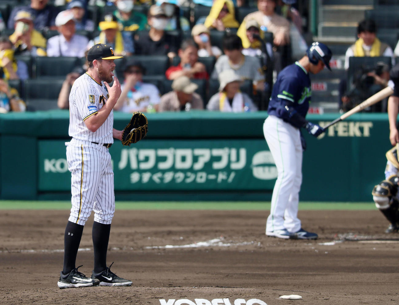 阪神対ヤクルト　3回表ヤクルト2死、ビーズリーは打者ヤフーレのとき指をなめる（撮影・加藤哉）