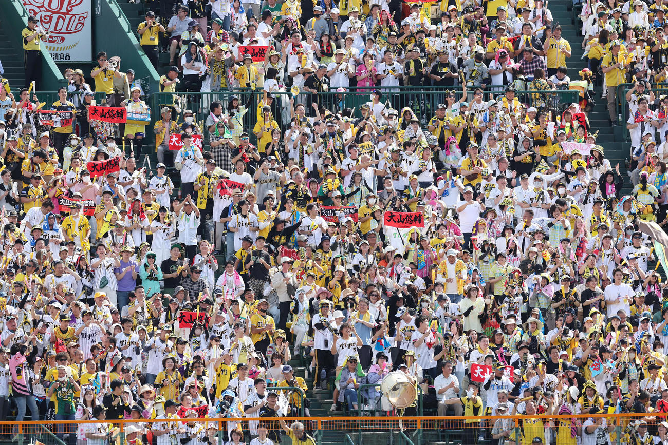 阪神対ヤクルト　4回裏阪神無死一、二塁、大山の先制適時打に盛り上がる阪神ファン（撮影・前田充）