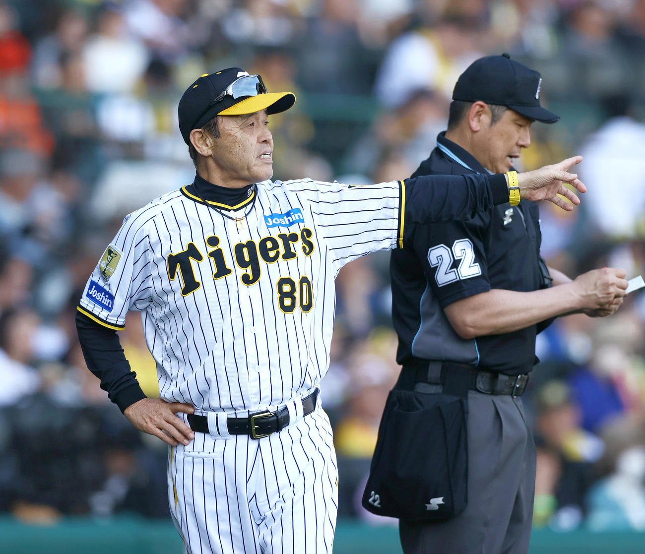 阪神対ヤクルト　7回裏終了後、岡田監督（手前）は球審に選手交代を告げる（撮影・上山淳一）