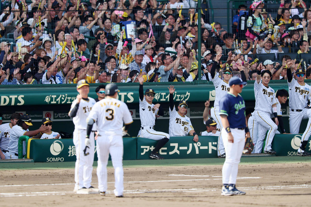 阪神対ヤクルト　4回裏阪神無死一、二塁、大山の先制適時打に笑顔を見せる阪神ナイン（撮影・加藤哉）