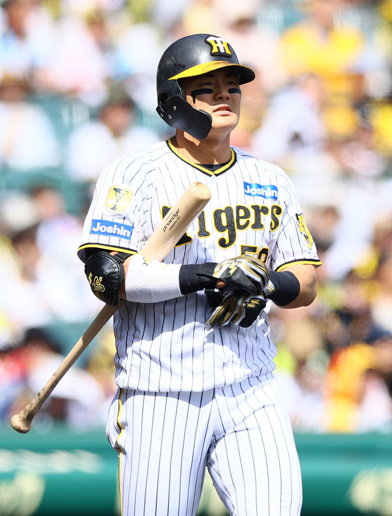 阪神対ヤクルト　2回裏阪神2死、前川は四球を選ぶ（撮影・上山淳一）