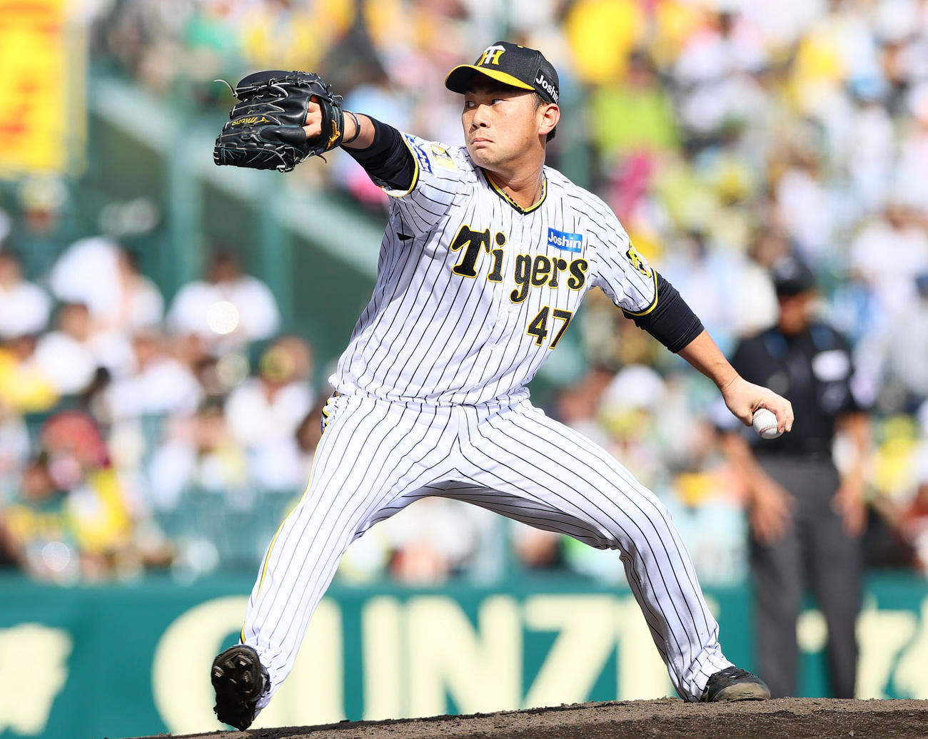 阪神対ヤクルト　6回表、阪神ビーズリーに代わり桐敷が登板する（撮影・上山淳一）