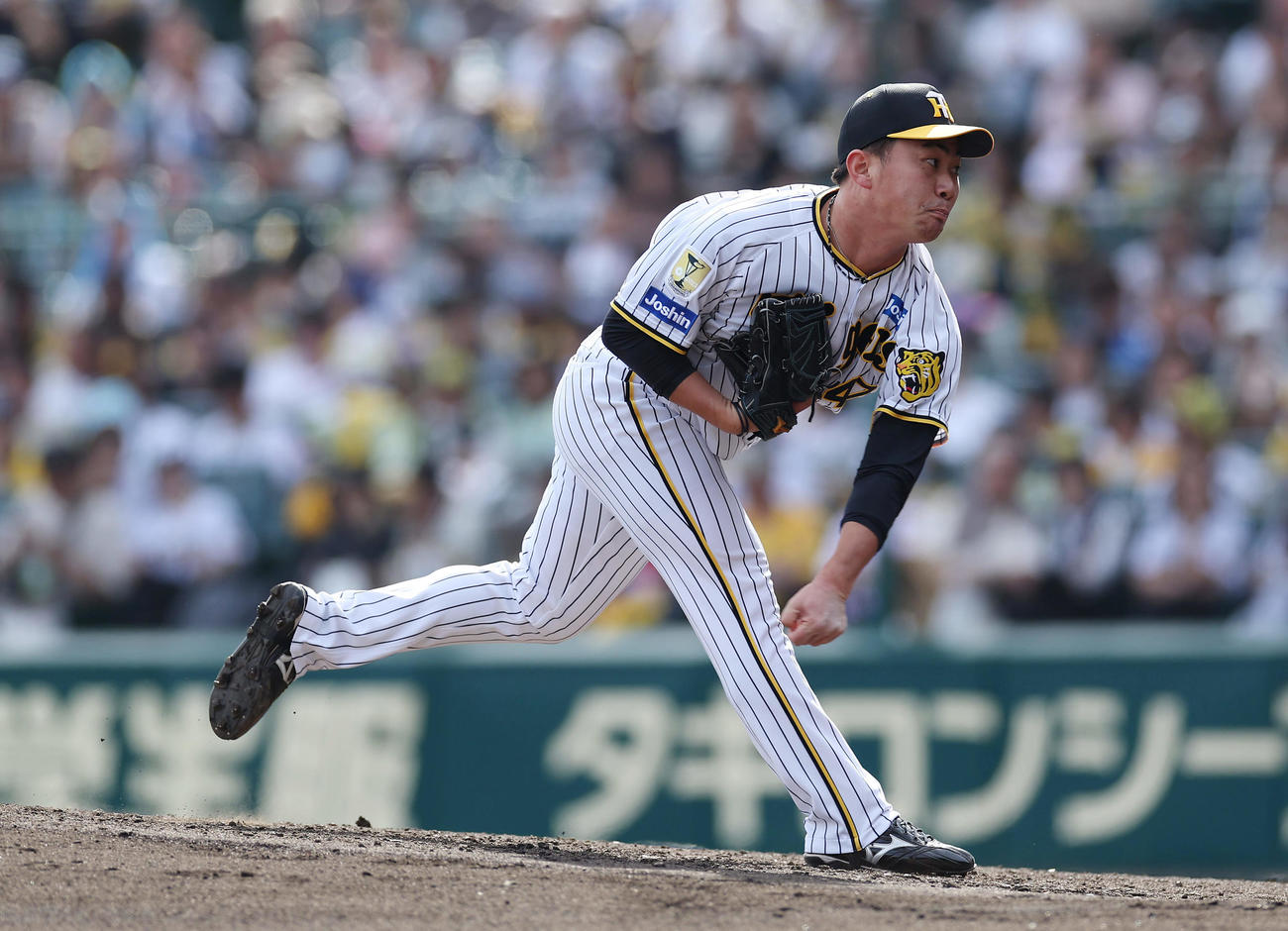 阪神対ヤクルト　力投する阪神2番手の桐敷（撮影・前田充）