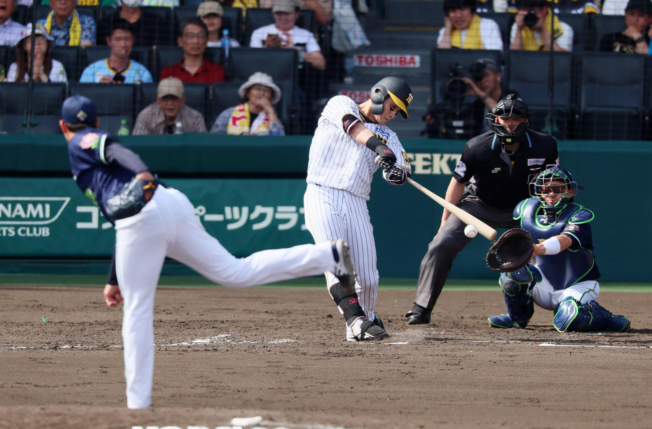 阪神対ヤクルト　5回裏阪神1死、木浪は中前打を放つ。投手はヤフーレ（撮影・加藤哉）
