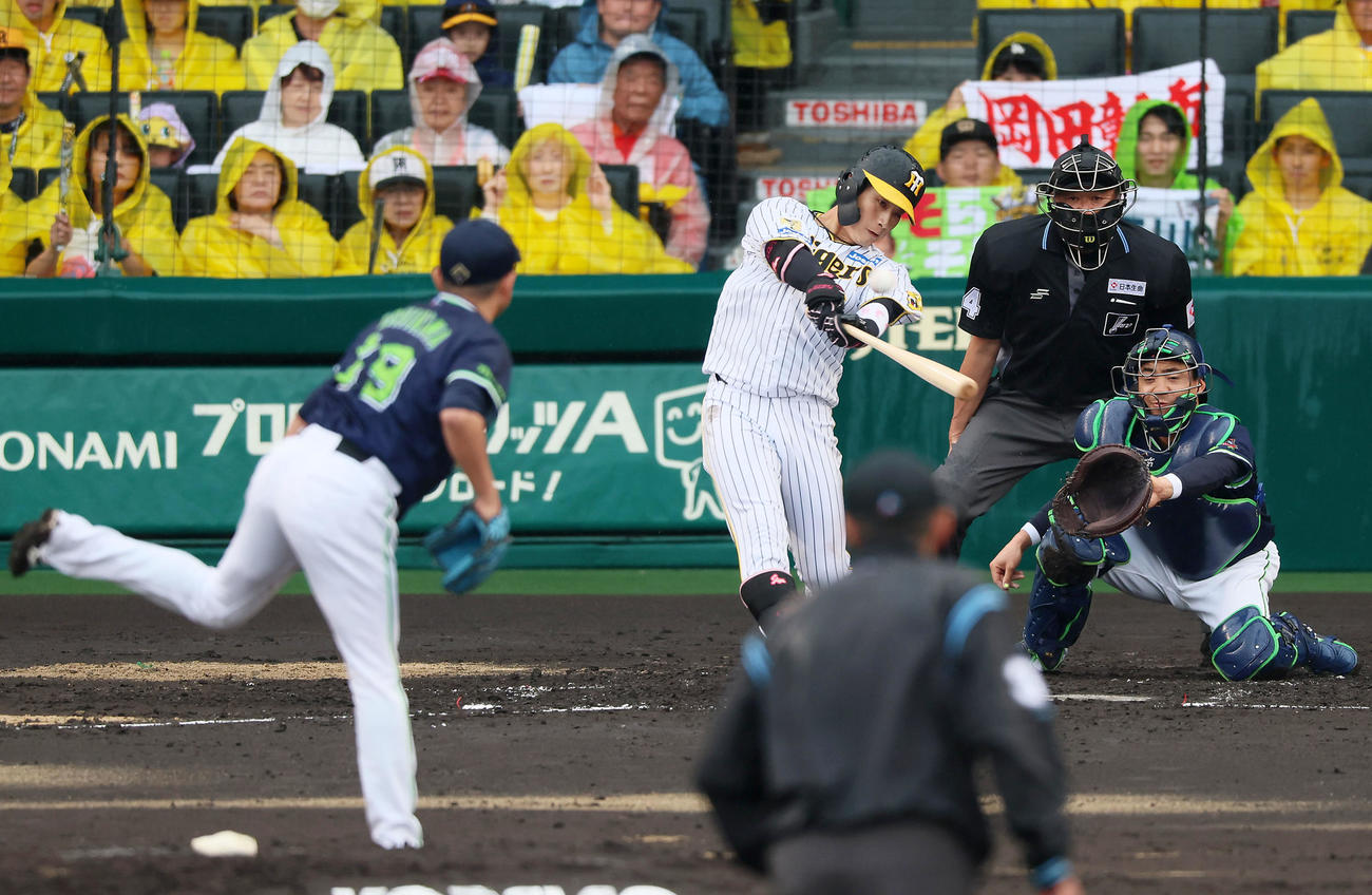 阪神対ヤクルト　2回裏阪神1死三塁、木浪は右飛を打ち上げる。投手は石川（撮影・加藤哉）