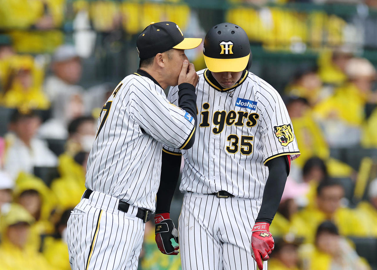 阪神対ヤクルト　4回裏阪神無死満塁、打席に向かう才木（右）に言葉を掛ける今岡打撃コーチ（撮影・前田充）