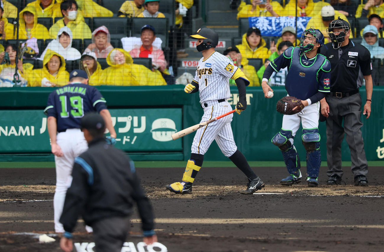 阪神対ヤクルト　3回裏阪神1死一塁、森下は四球を選ぶ。投手は石川（撮影・加藤哉）