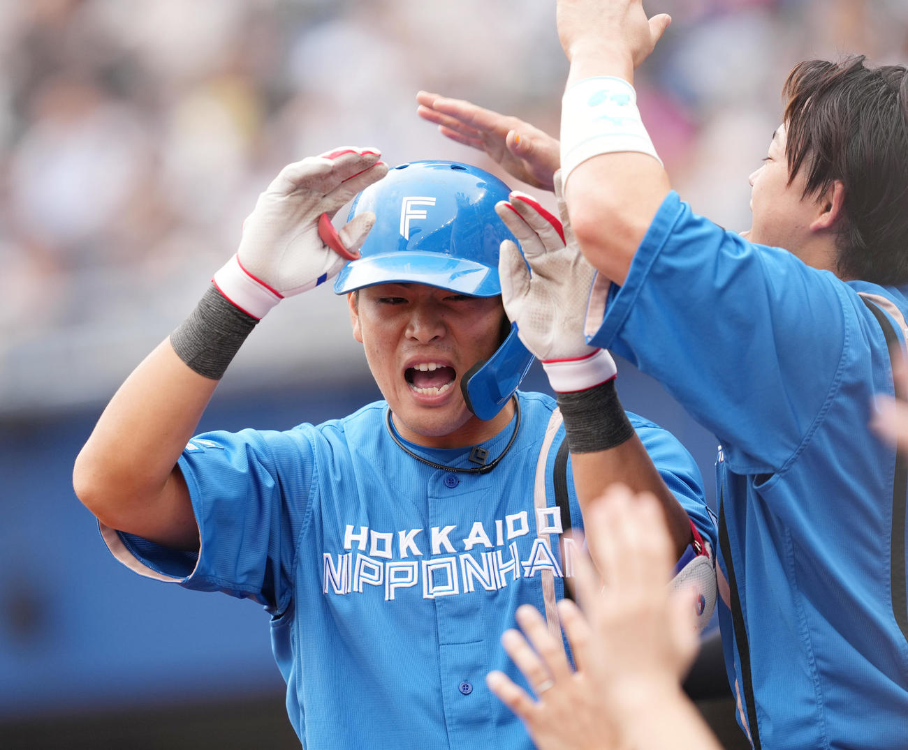 ロッテ対日本ハム　7回表日本ハム1死、左越えにソロ本塁打を放ち、タッチで迎えられる野村（撮影・菅敏）